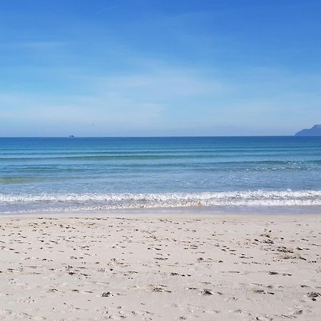 Ideal Property Mallorca - Cittadini 26 Port de Alcudia  Eksteriør bilde