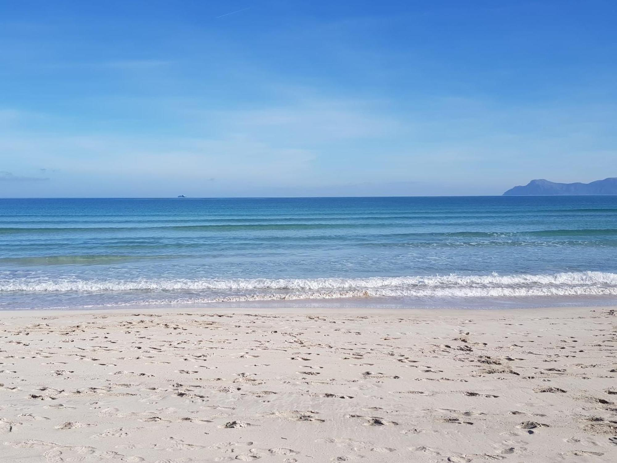 Ideal Property Mallorca - Cittadini 26 Port de Alcudia  Eksteriør bilde